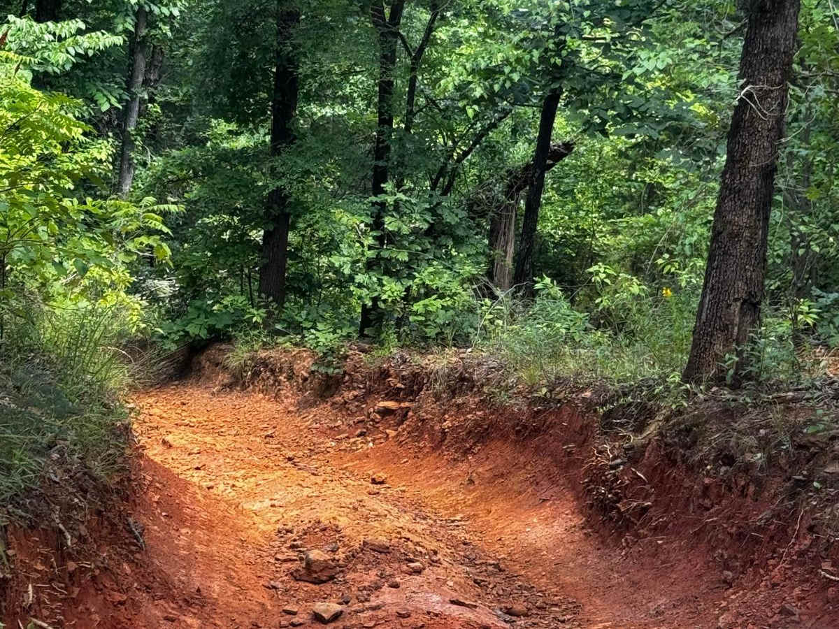 Pine Hill Run photo 2