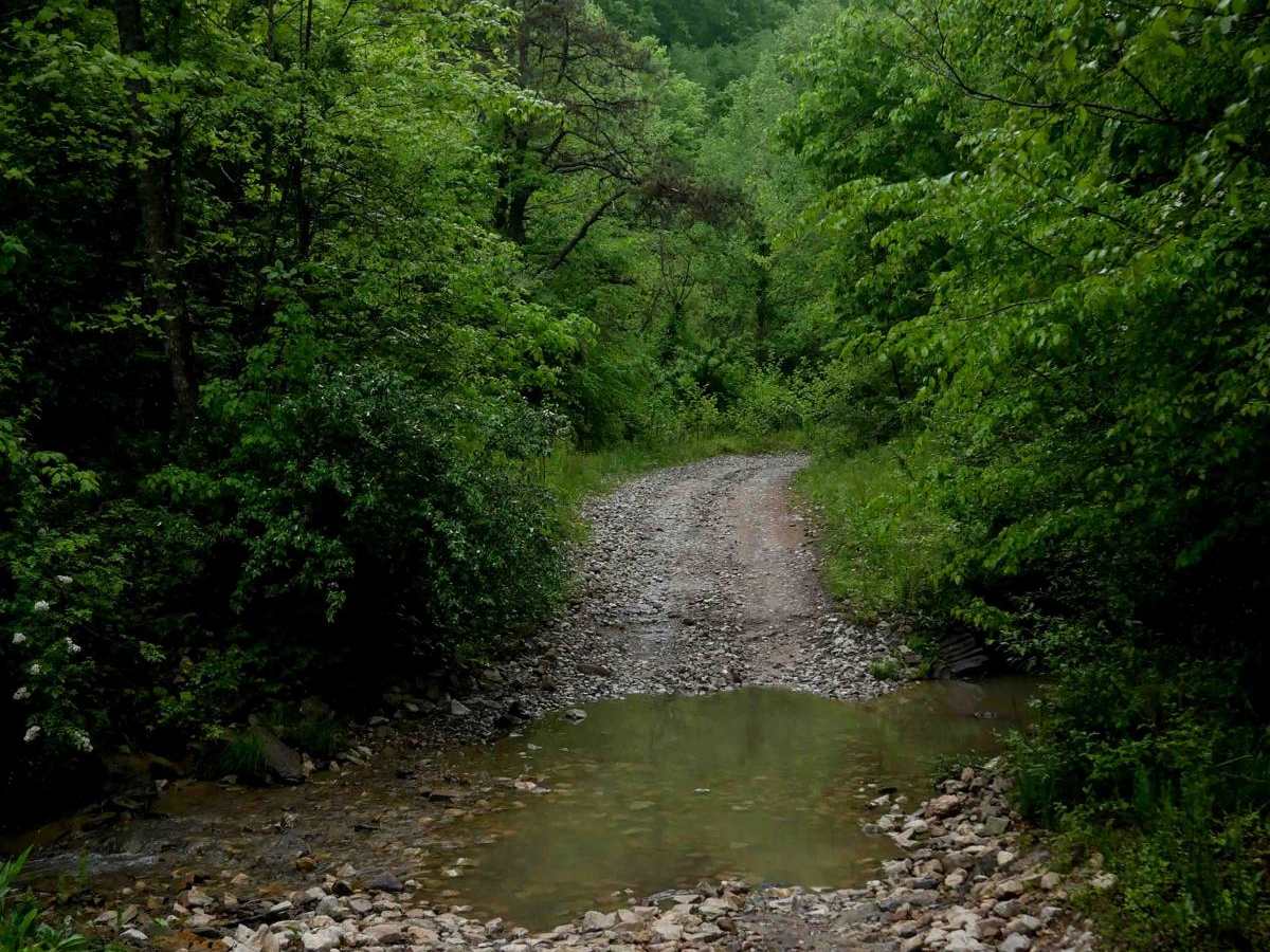 IB 13 trail photo