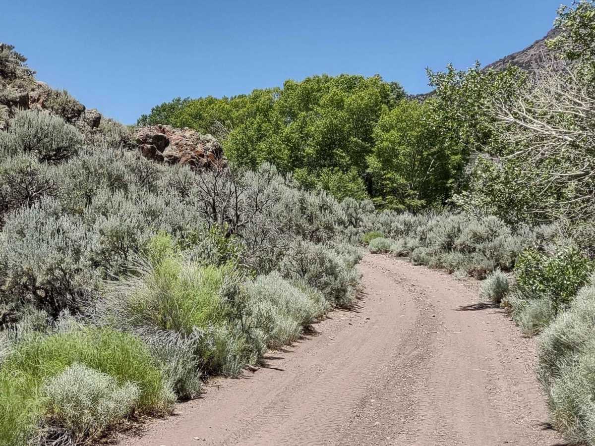 City Creek Canyon (FS# 40133) photo 2