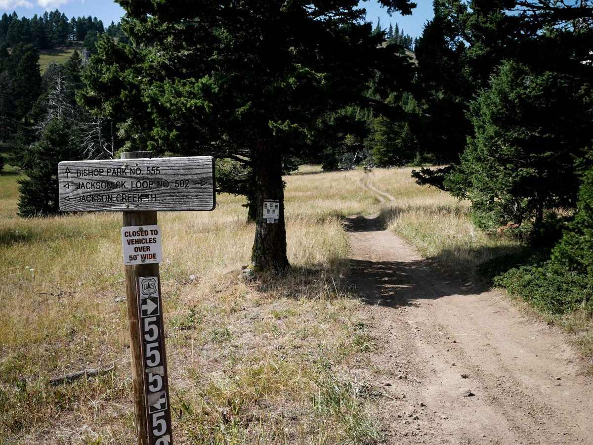 Bishop Park ATV trail photo