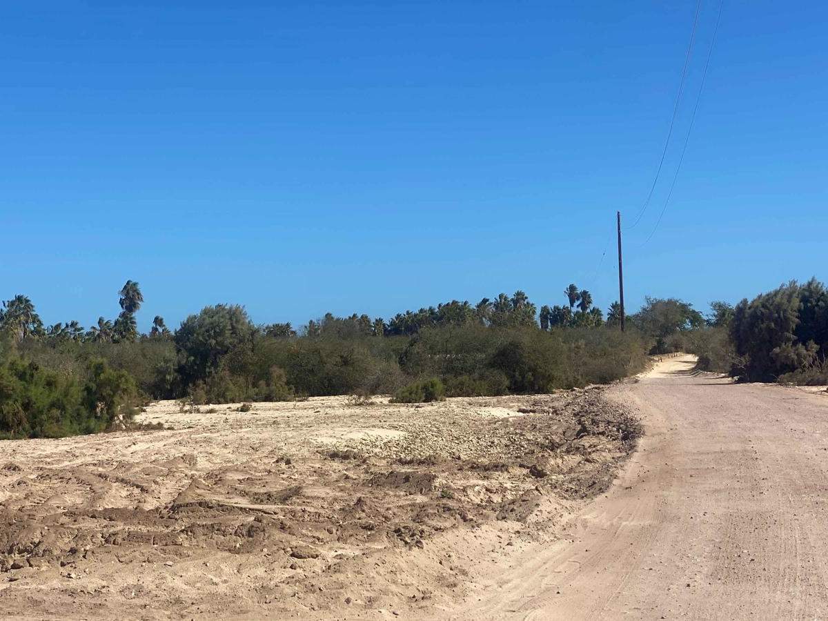 Ruta Playa Ribera photo 4