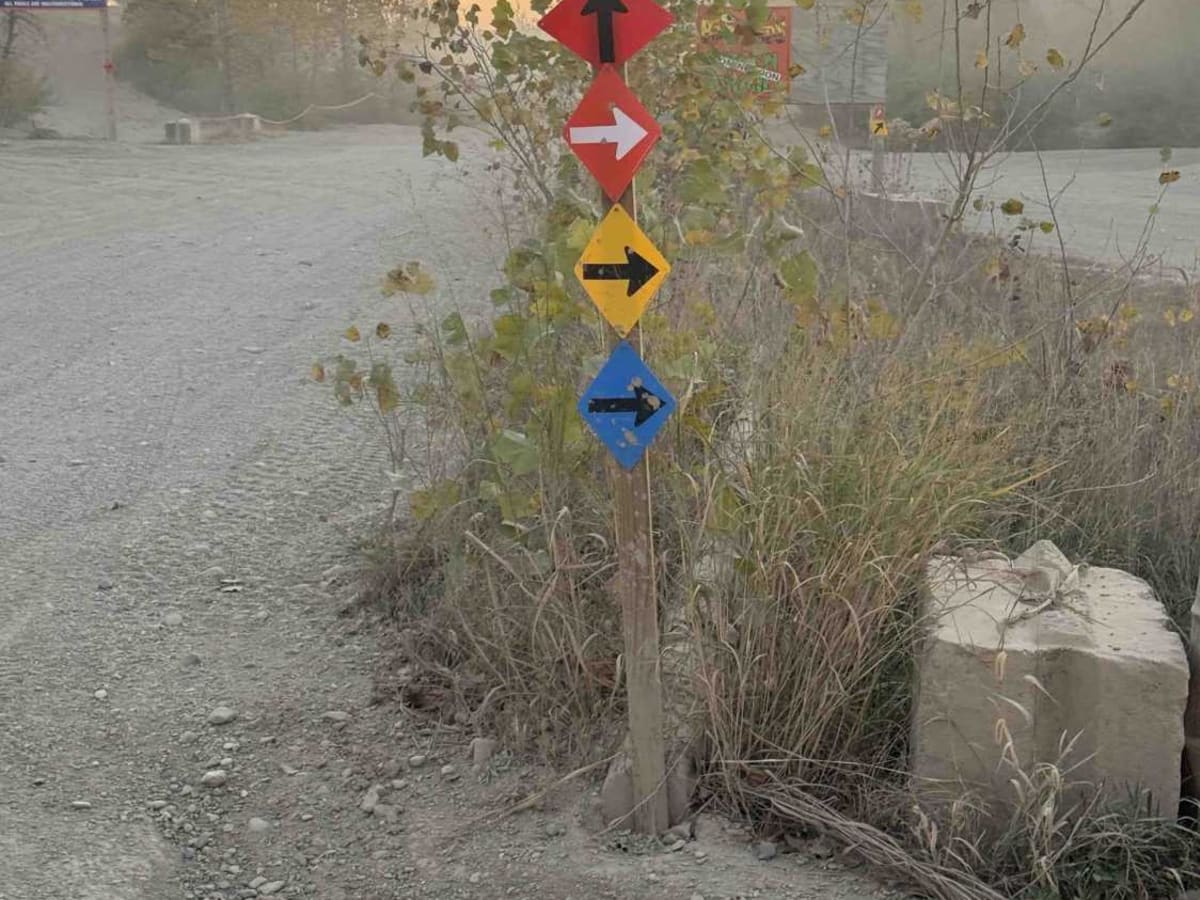 Yellow Trail photo 5