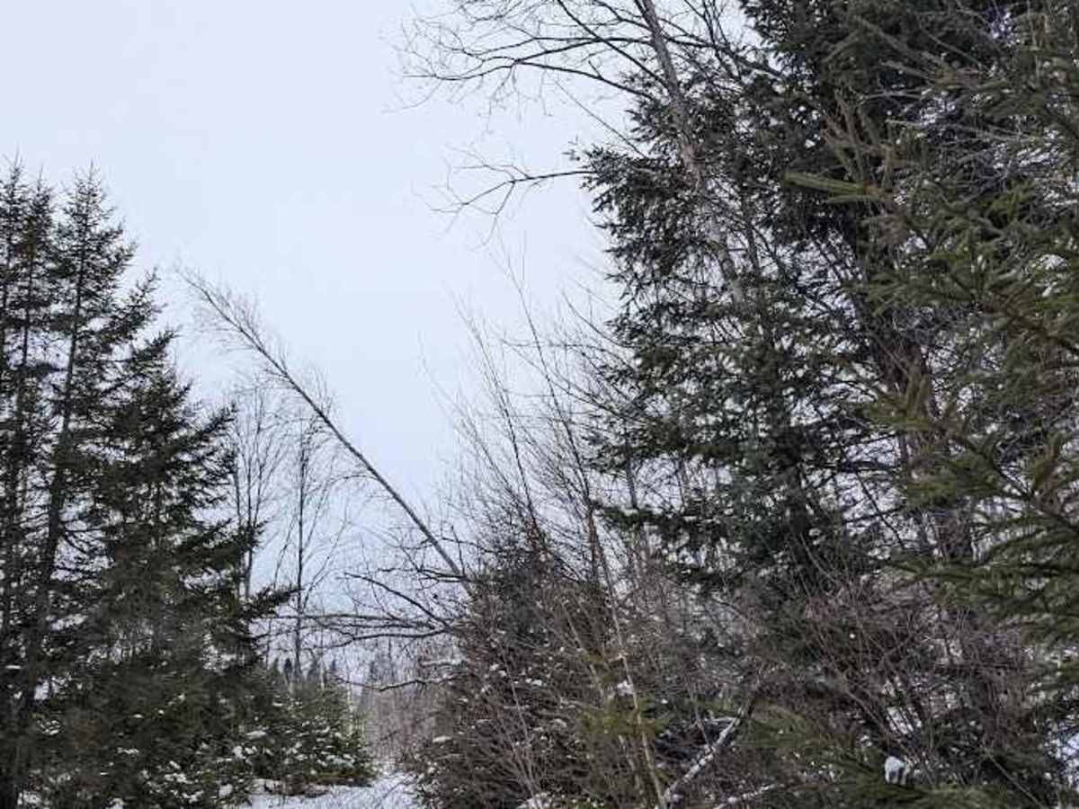 Crow Hill Loop photo 3