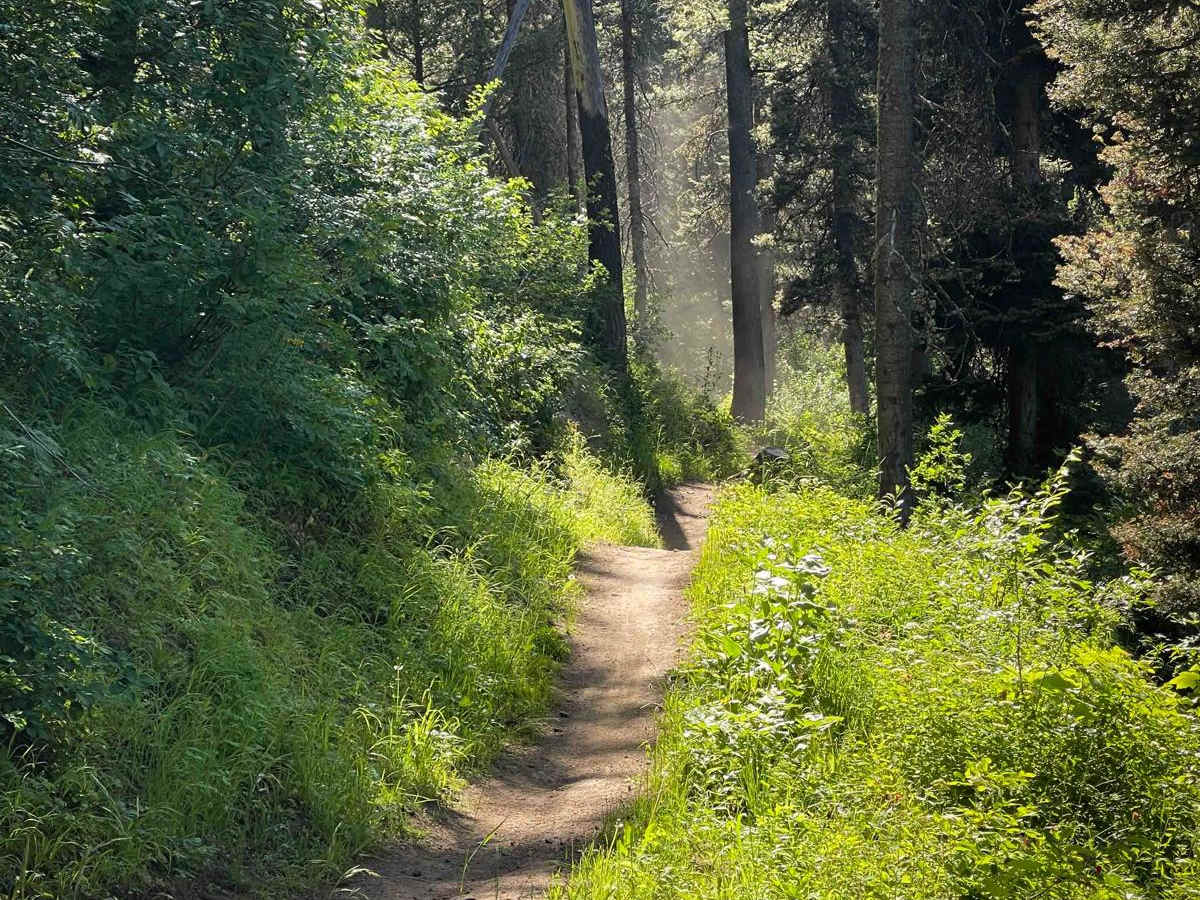 South Grove Creek photo 6