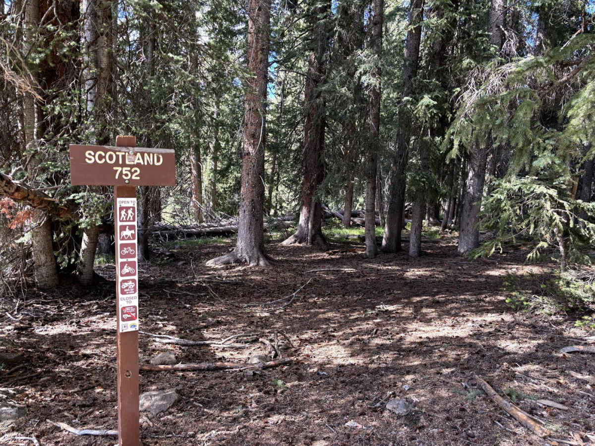 Scotland trail photo