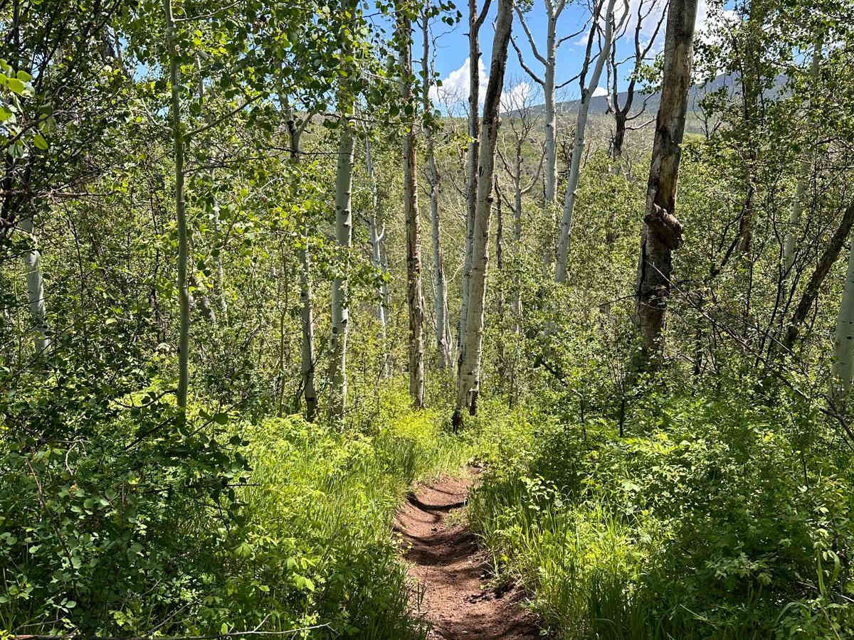 Green Gate Trail trail photo