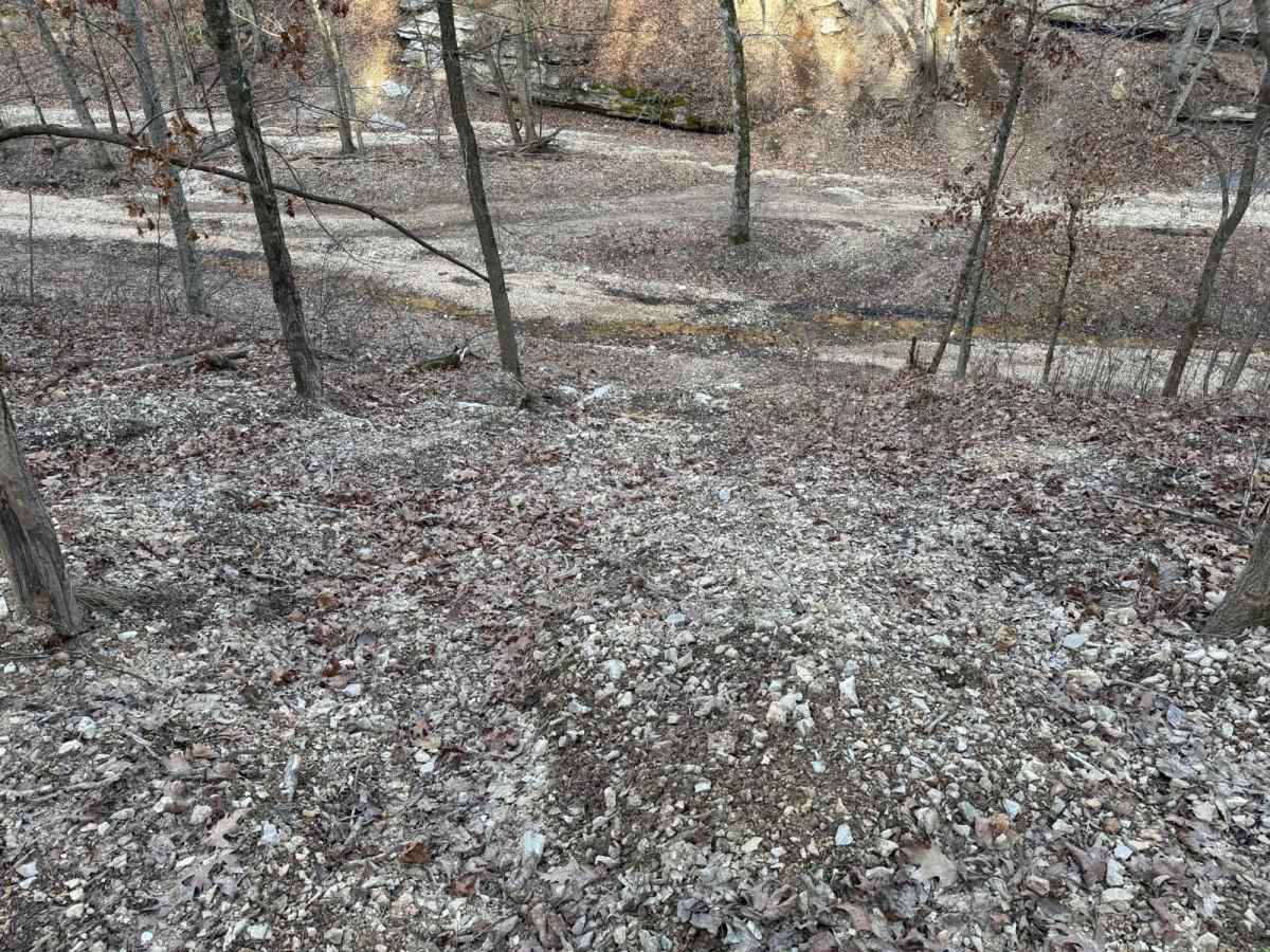 Red 361 trail photo