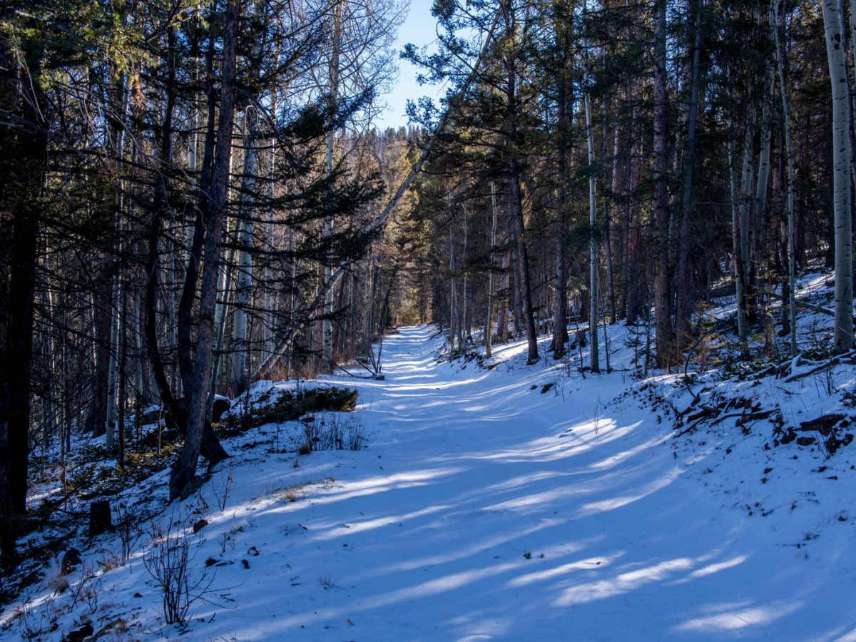 39 Mile Mountain Part 2 photo 4