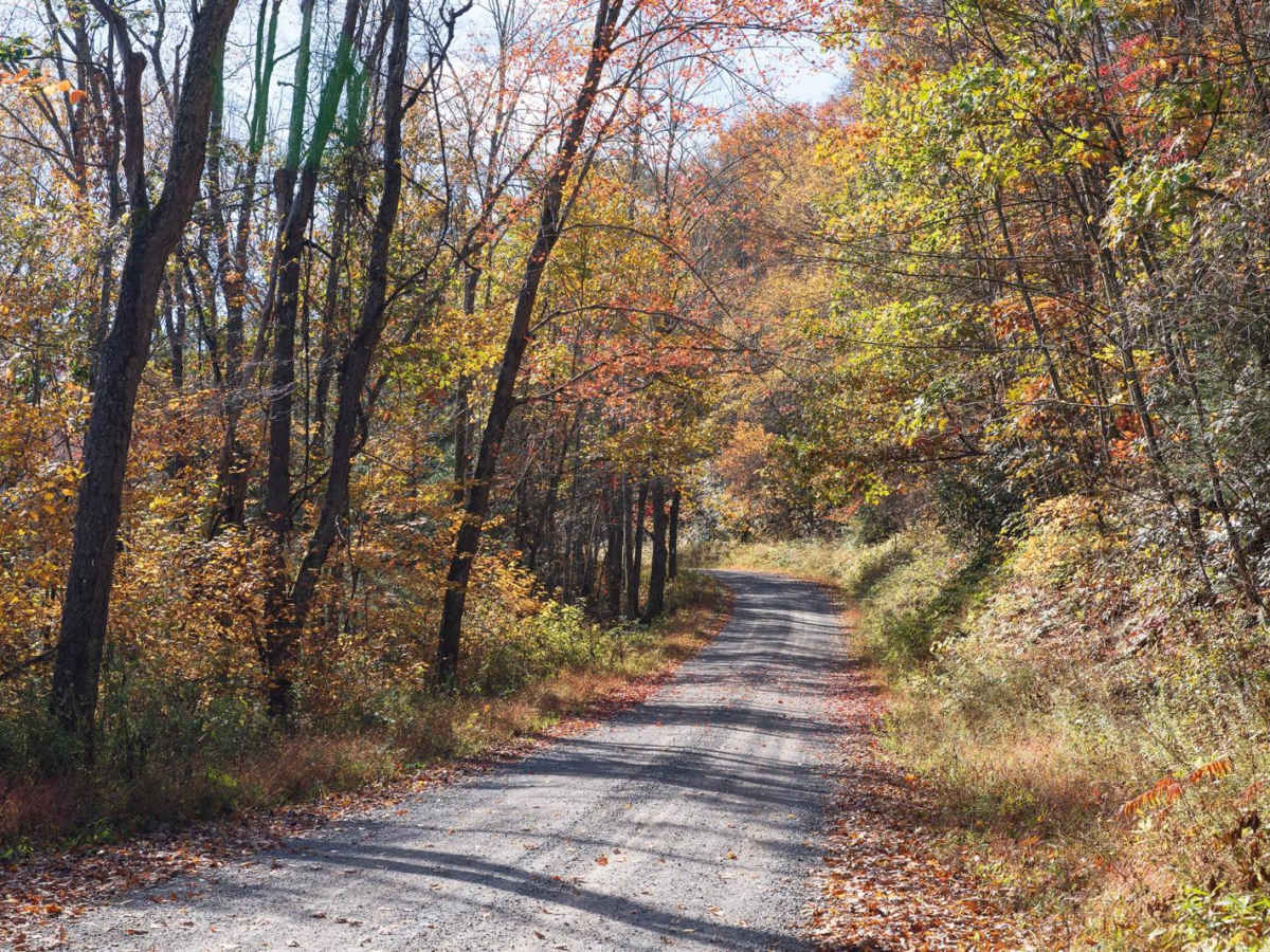 Six Mile Run Road photo 2