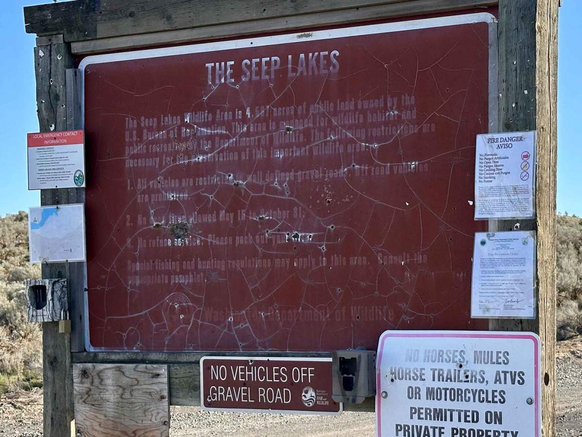 Seep Lake photo 2