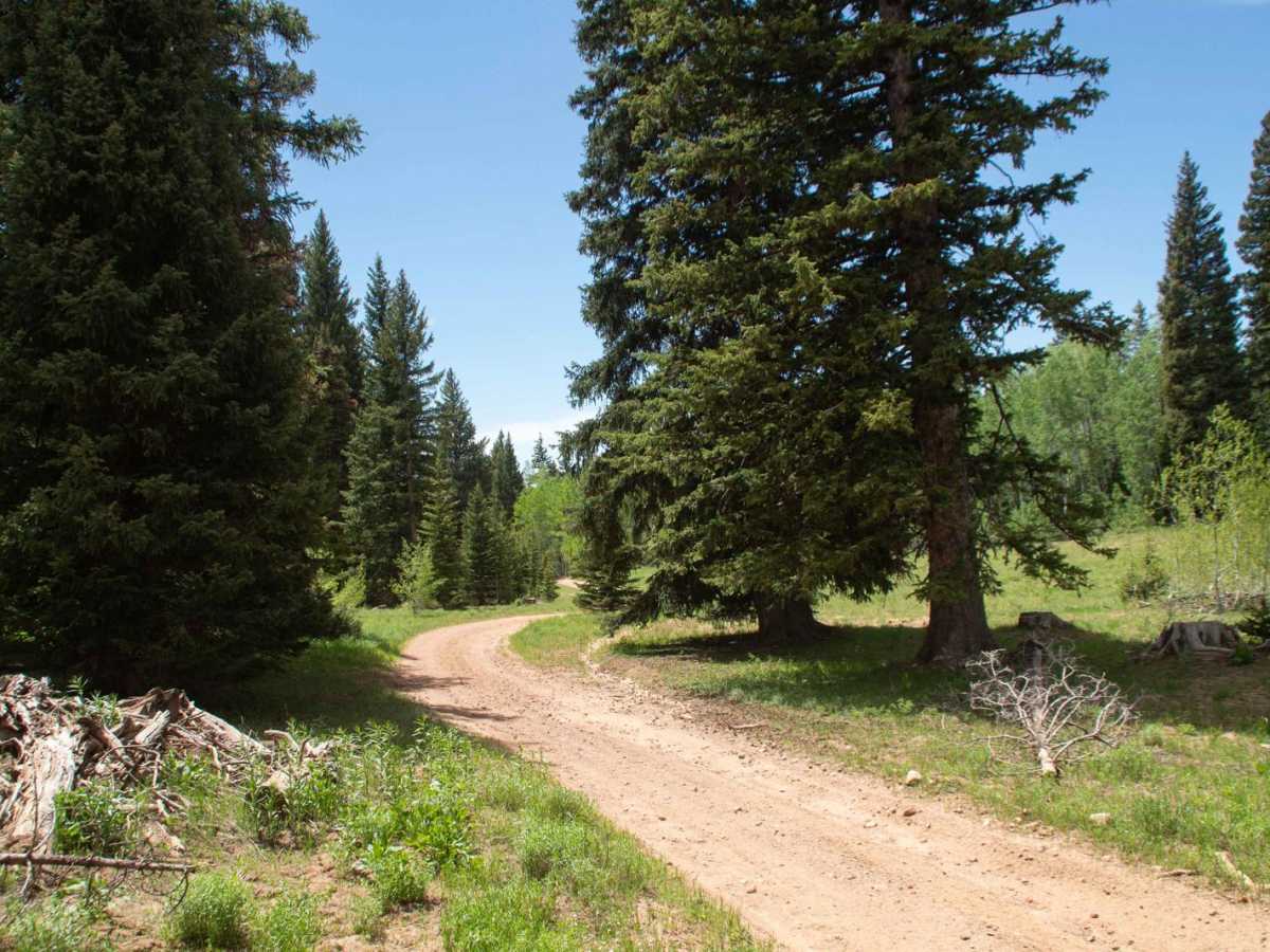 Running Water Spring Road trail photo