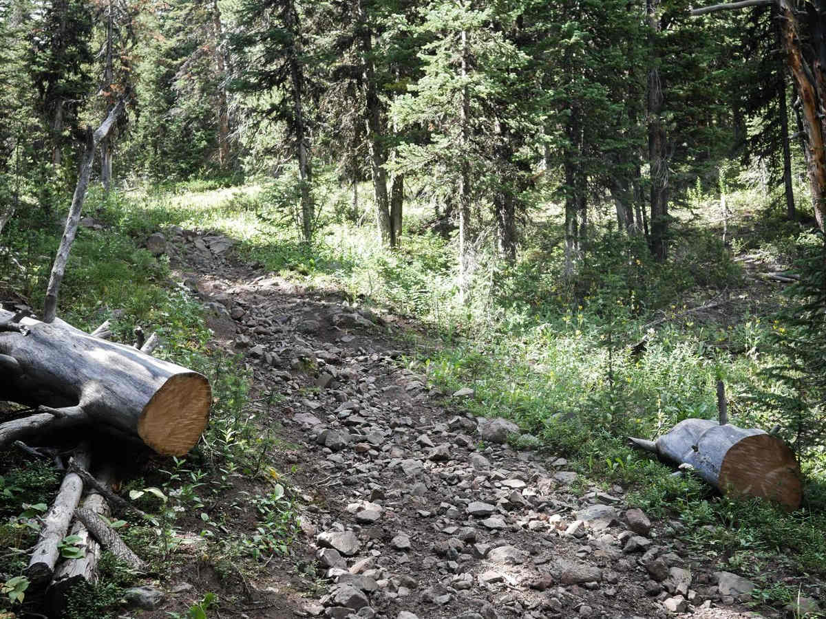 Hidden Lake Cutoff - FS 194 trail photo