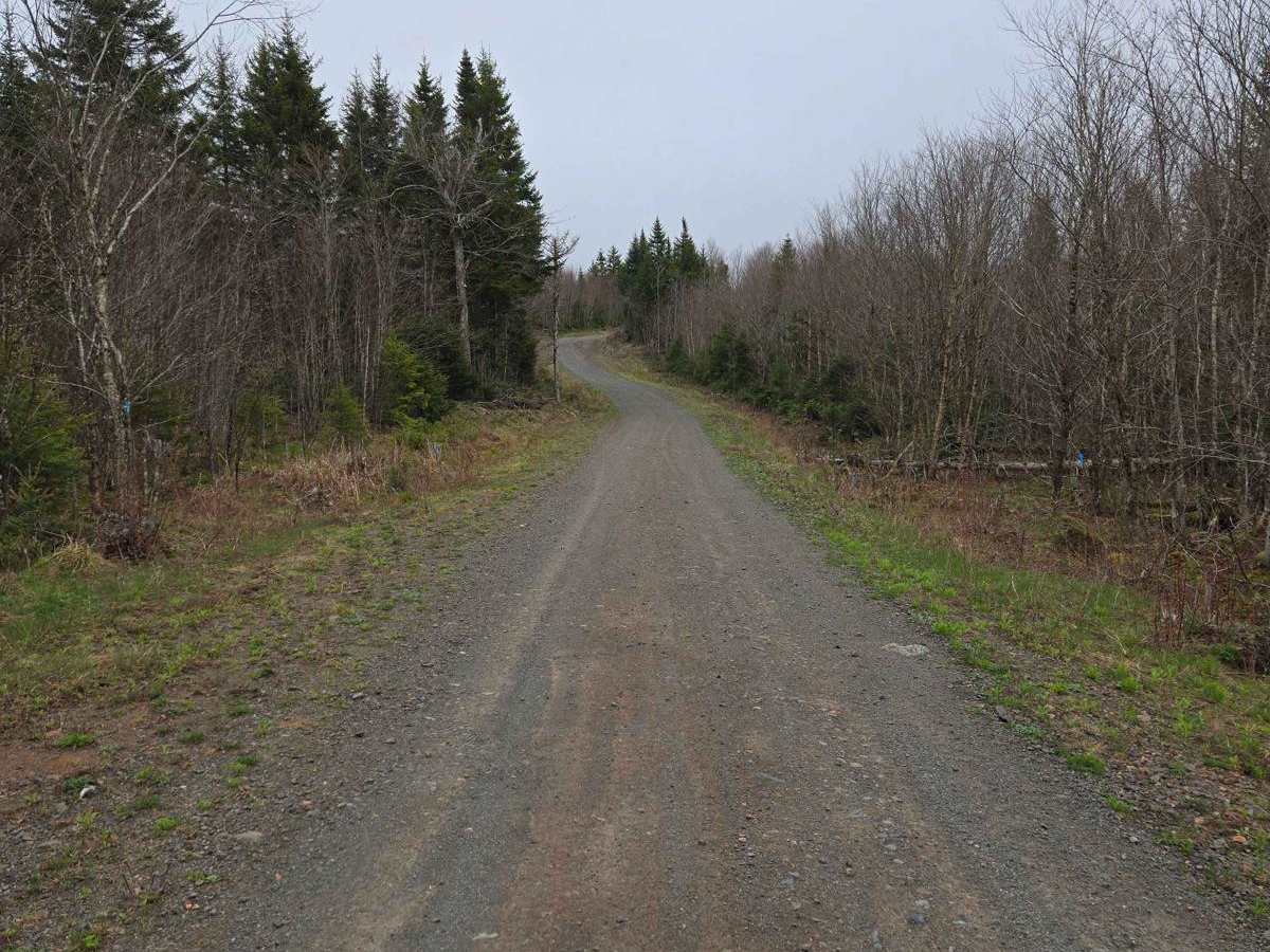 Totten Meadow Trail photo 2