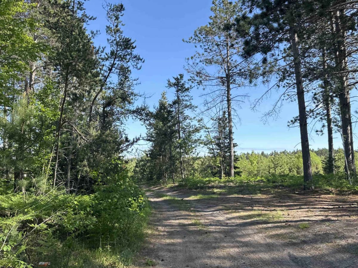 FS 3502 trail photo