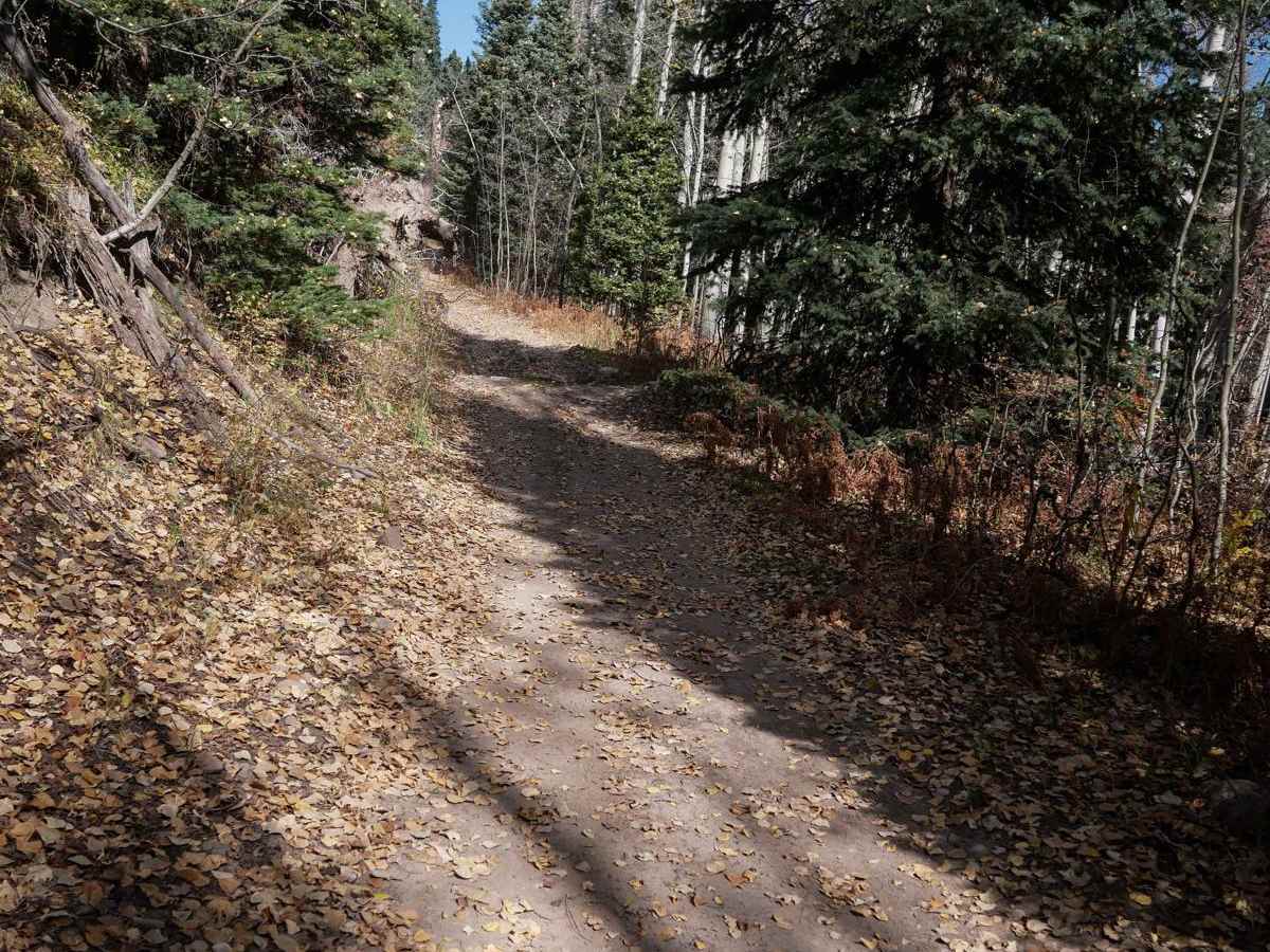 Lou Creek ATV photo 3