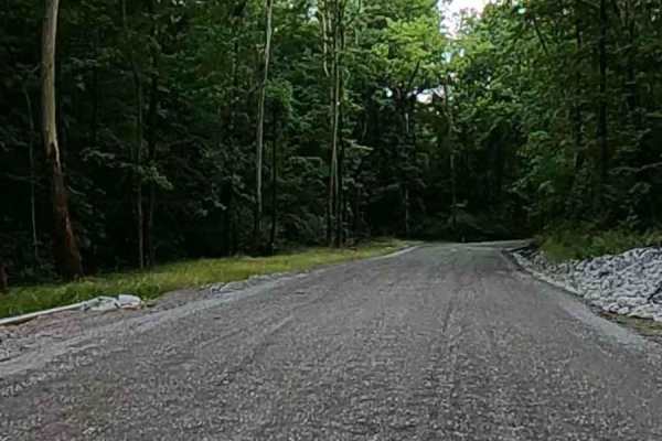 Turkey Creek Road FSR 167