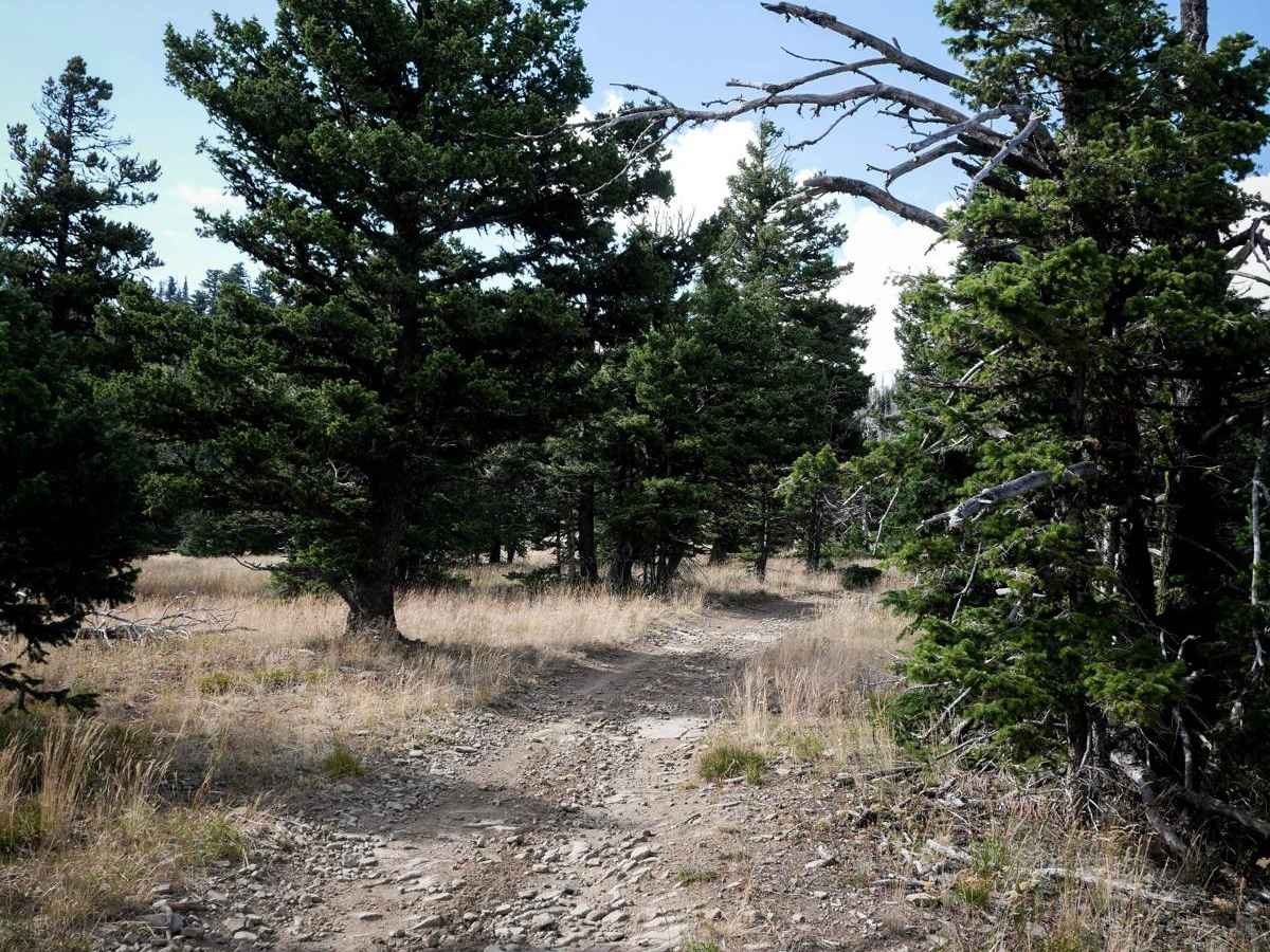Bishop Park ATV photo 5