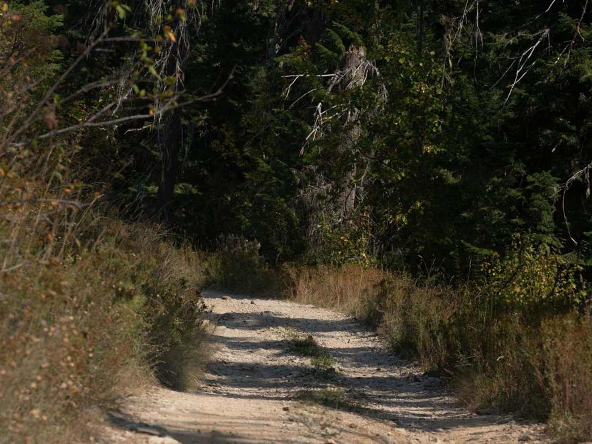 Hamilton Mountain photo 3