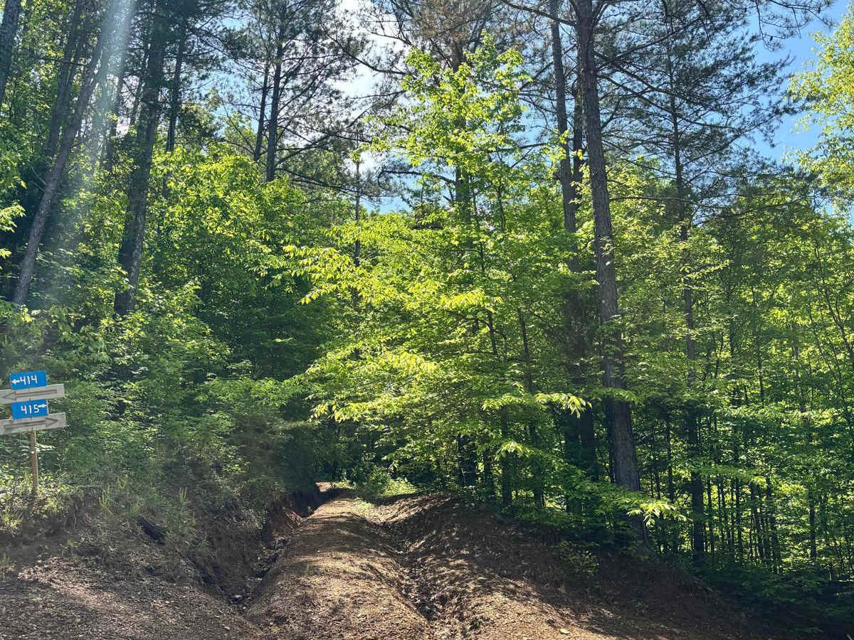 415 trail photo