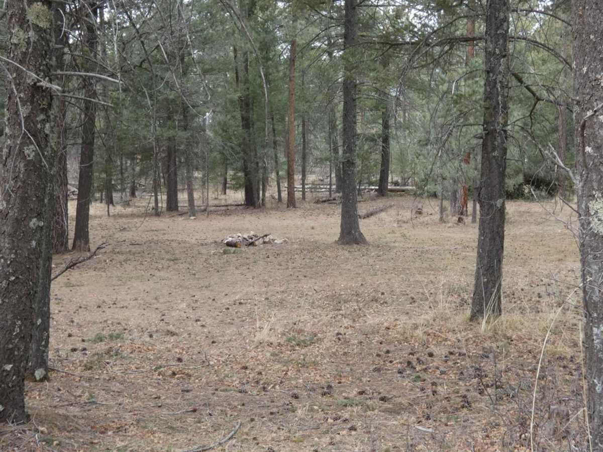Lick Ridge photo 5