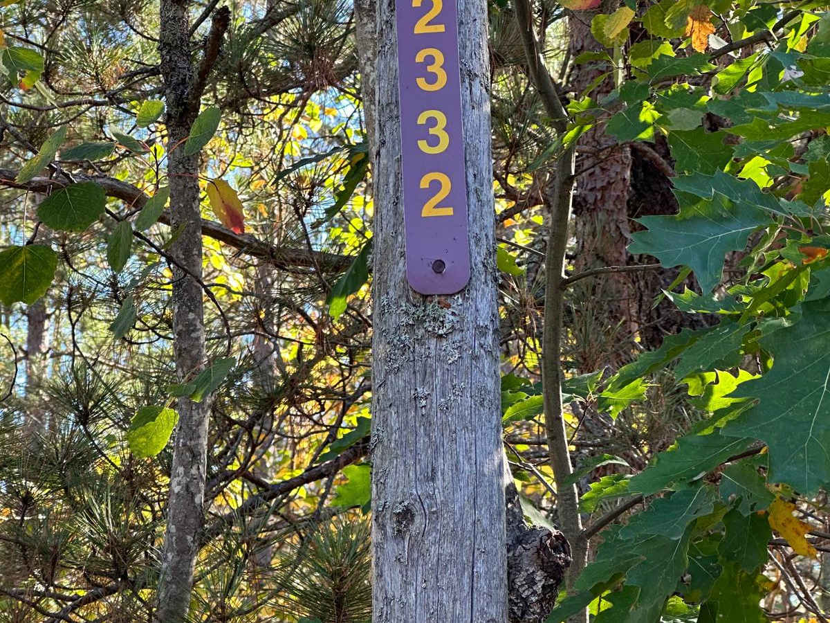 FS 2332 trail photo