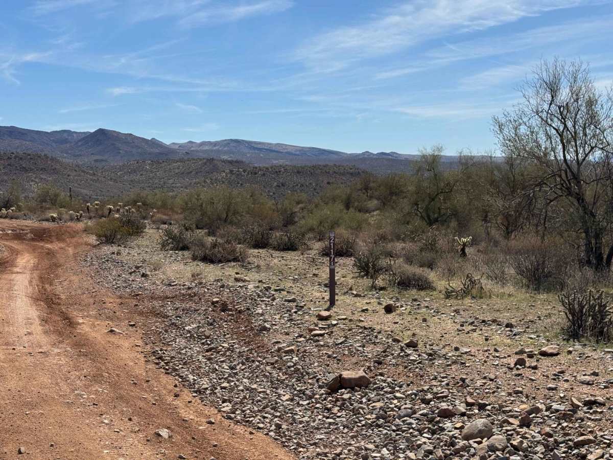 Trail 2117 - Tonto National Forest - Desert Vista OHV Area photo 5