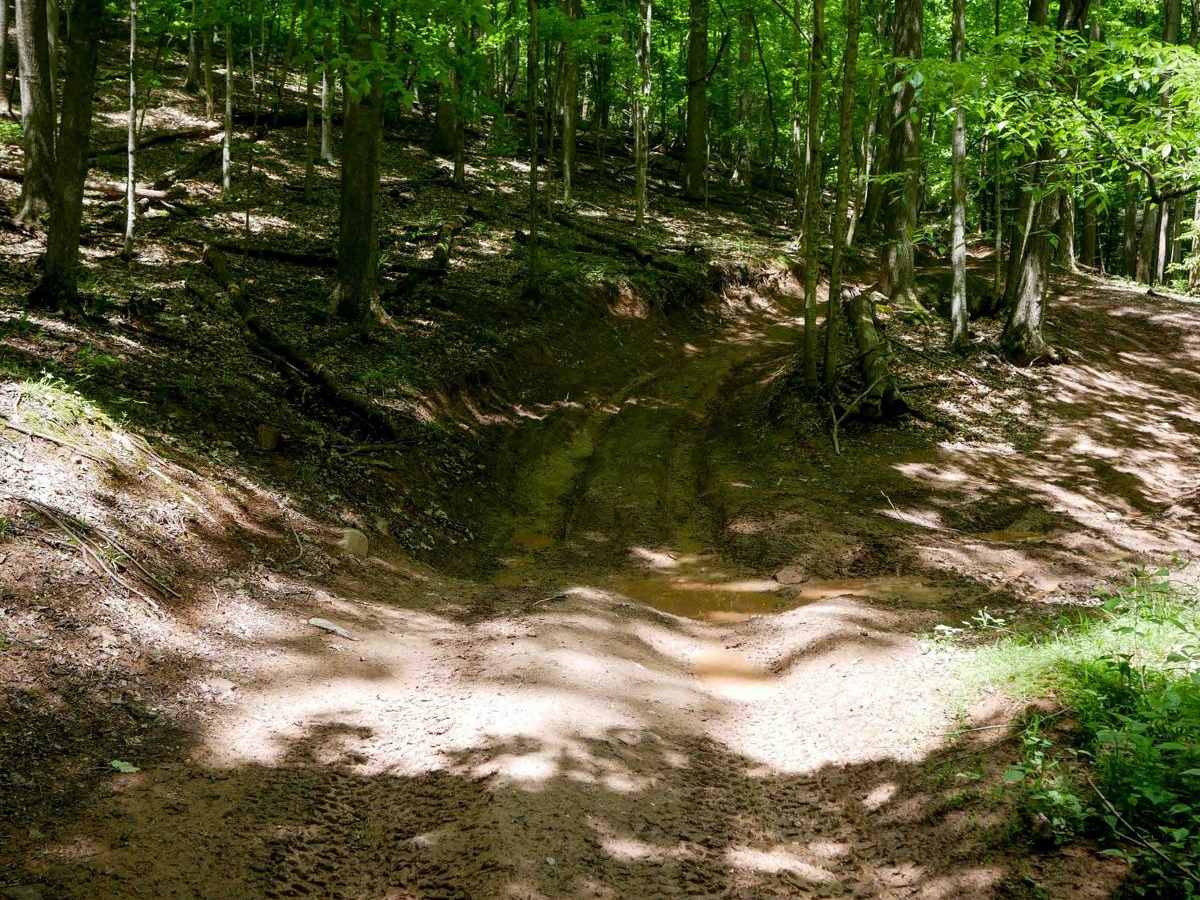 Trail 13 photo 5