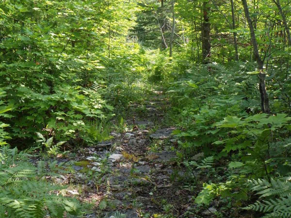 Foreman Lake Motorcycle Trail trail photo