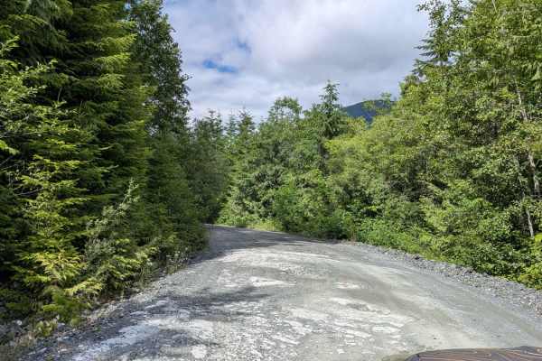 Gordon River South