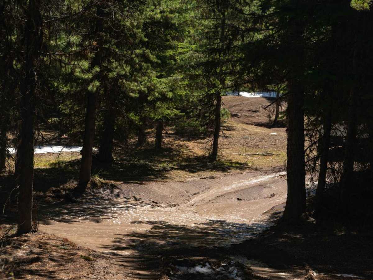 Tamarack Springs photo 6