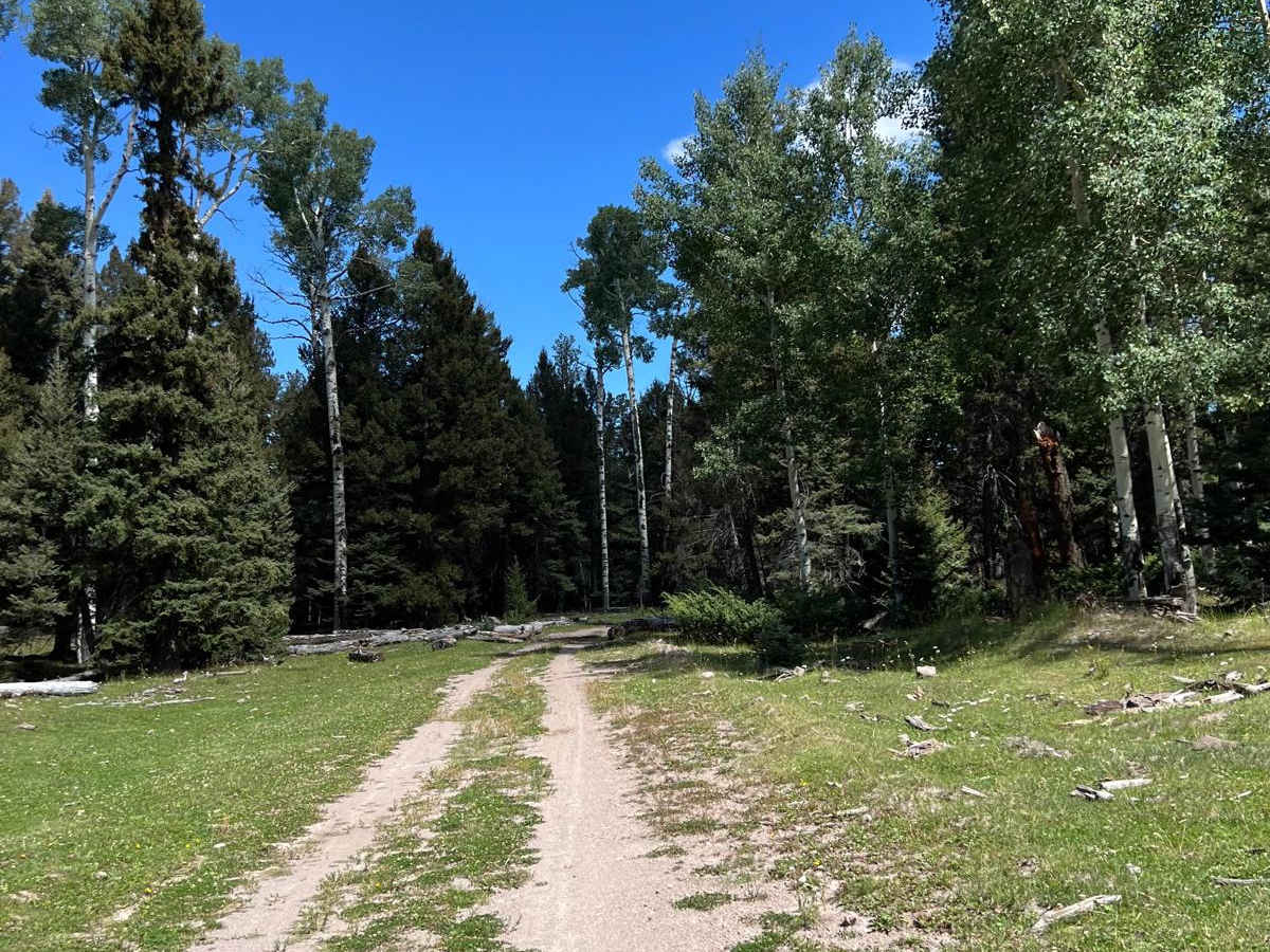 FR 449 trail photo