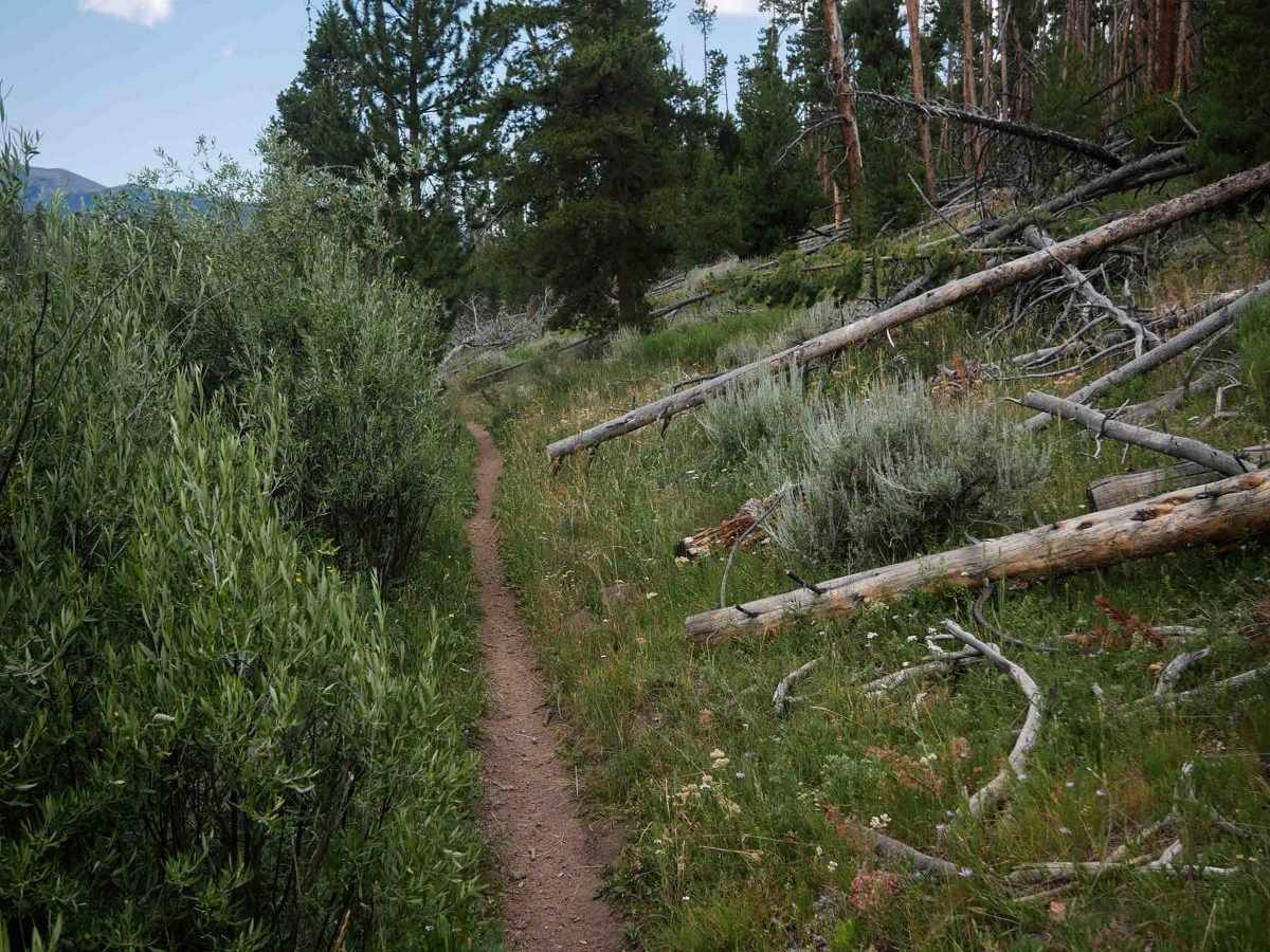Radial Mountain Trail photo 3
