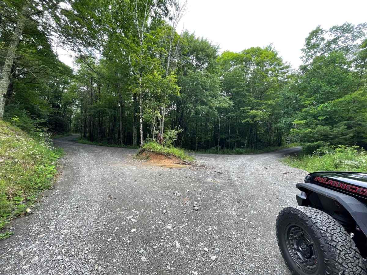 Little Stoney Creek/Laurel Fork photo 4