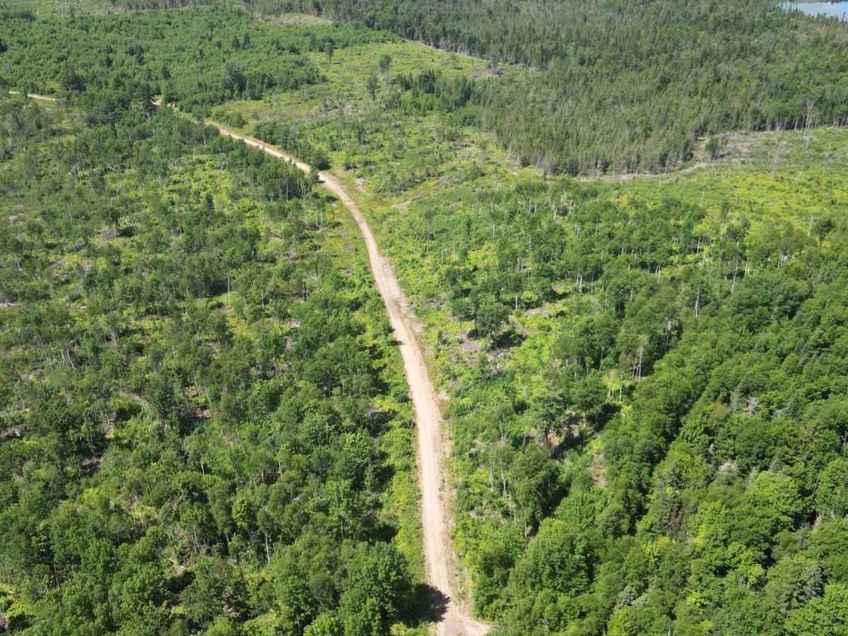 Green Hill Lookout photo 5