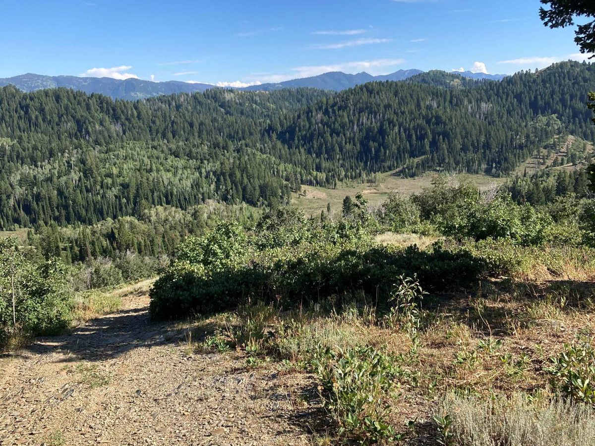 Worm Creek trail photo