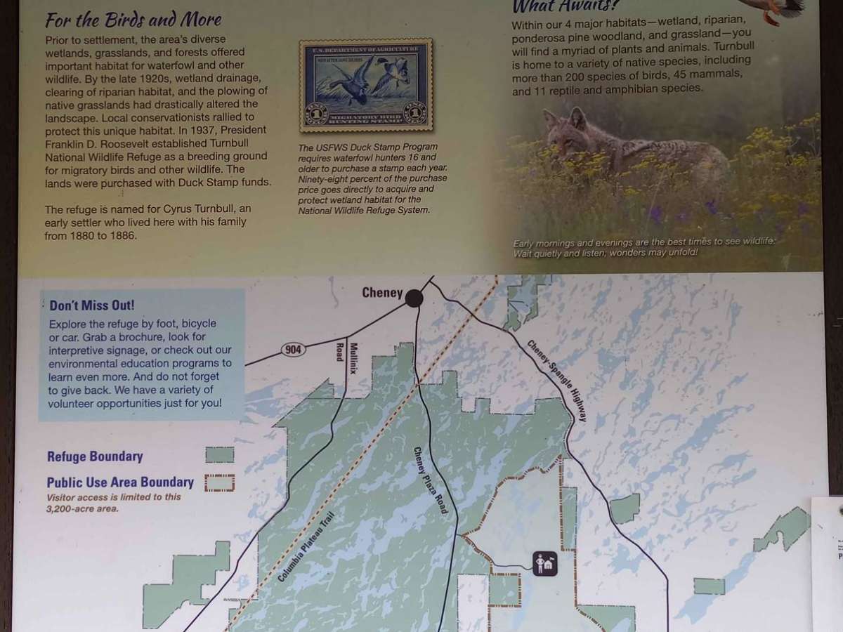 Turnbull's Pine Creek Auto Route photo 6