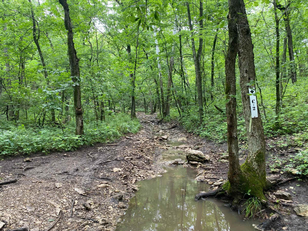 C2 trail photo