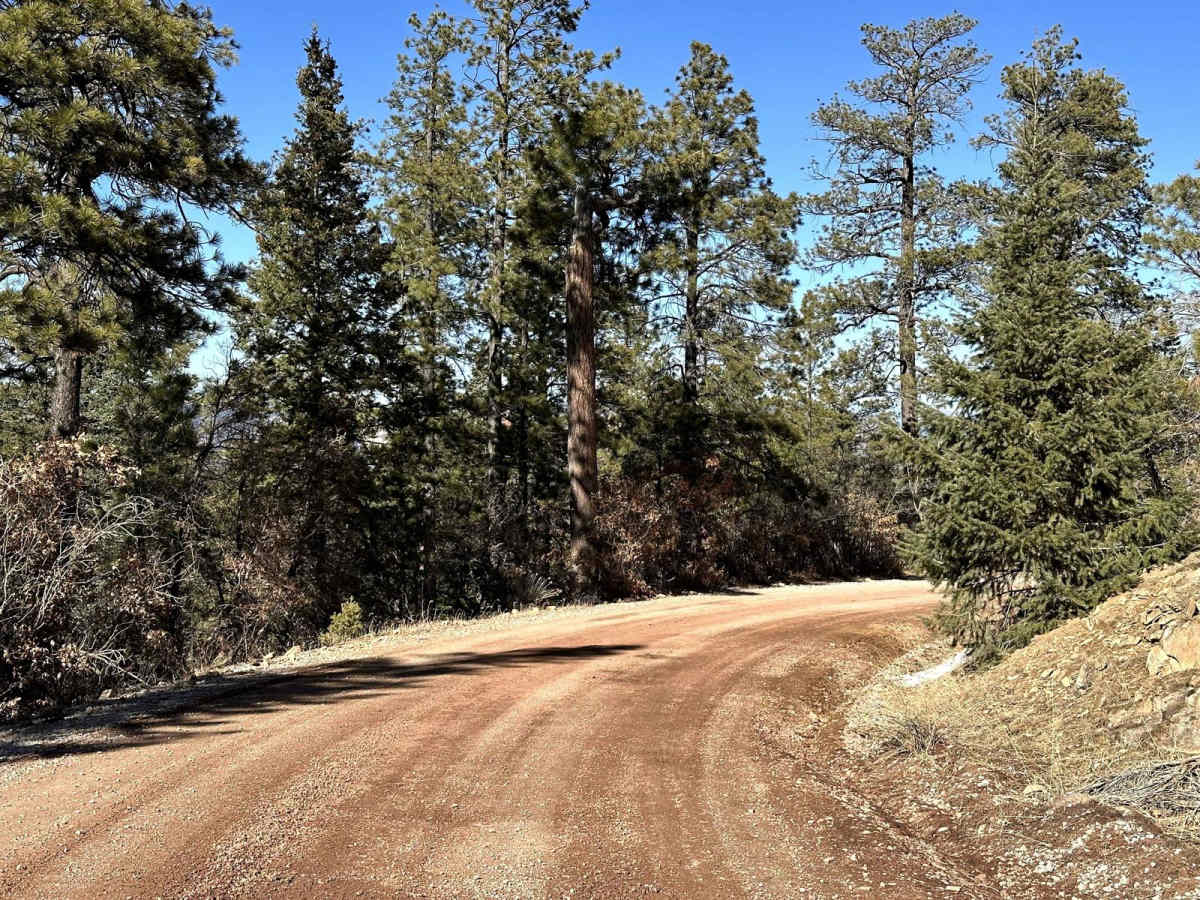 FR103 Run to Rio Puerco photo 4
