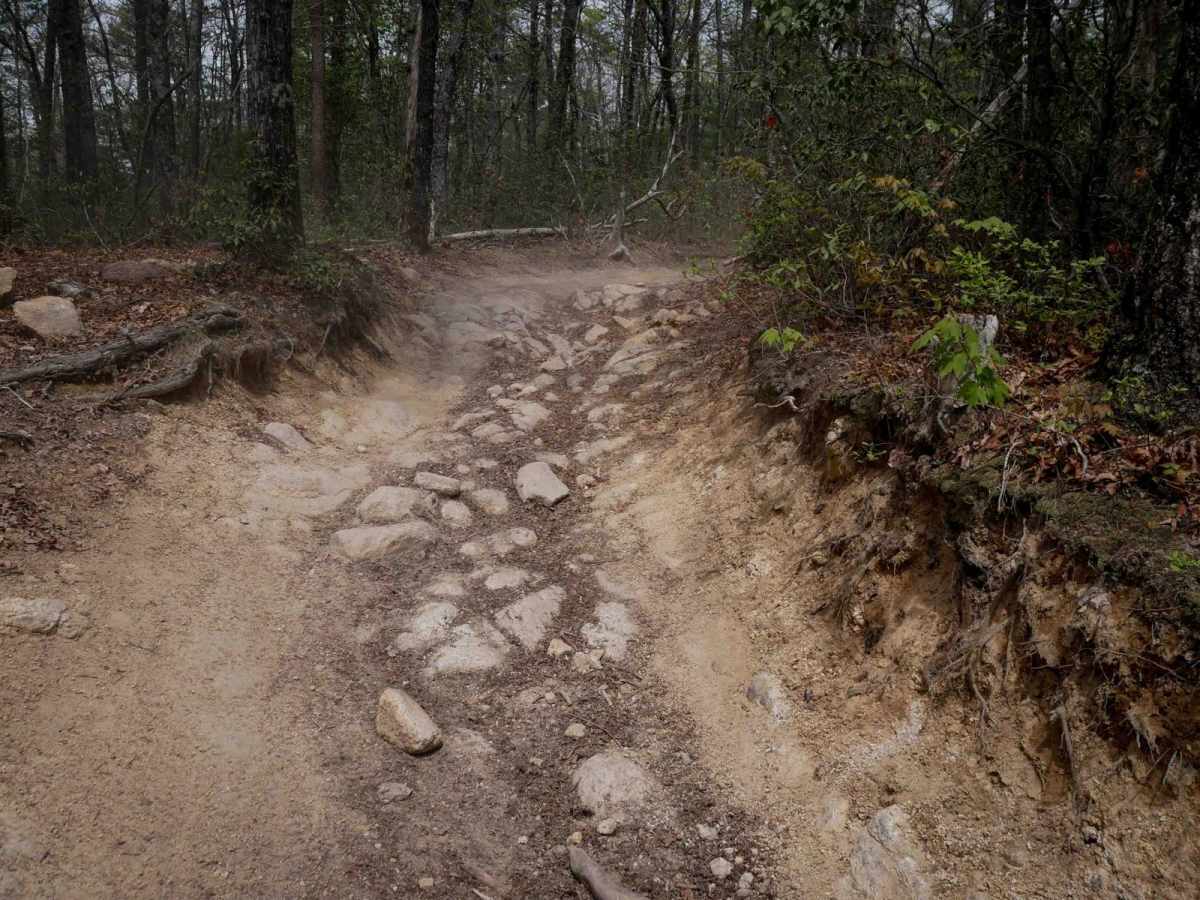 Trail 1B photo 2