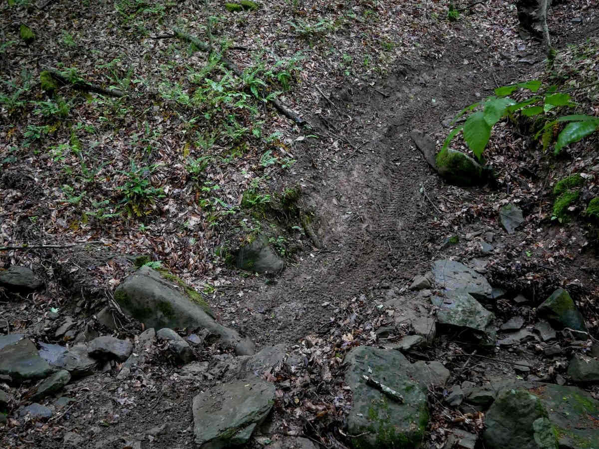 T59 trail photo
