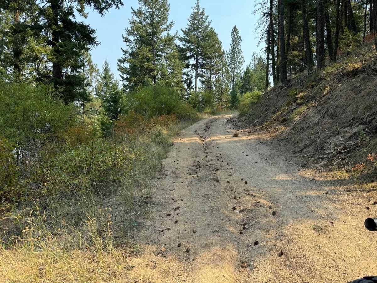 Burnt Ridge photo 3