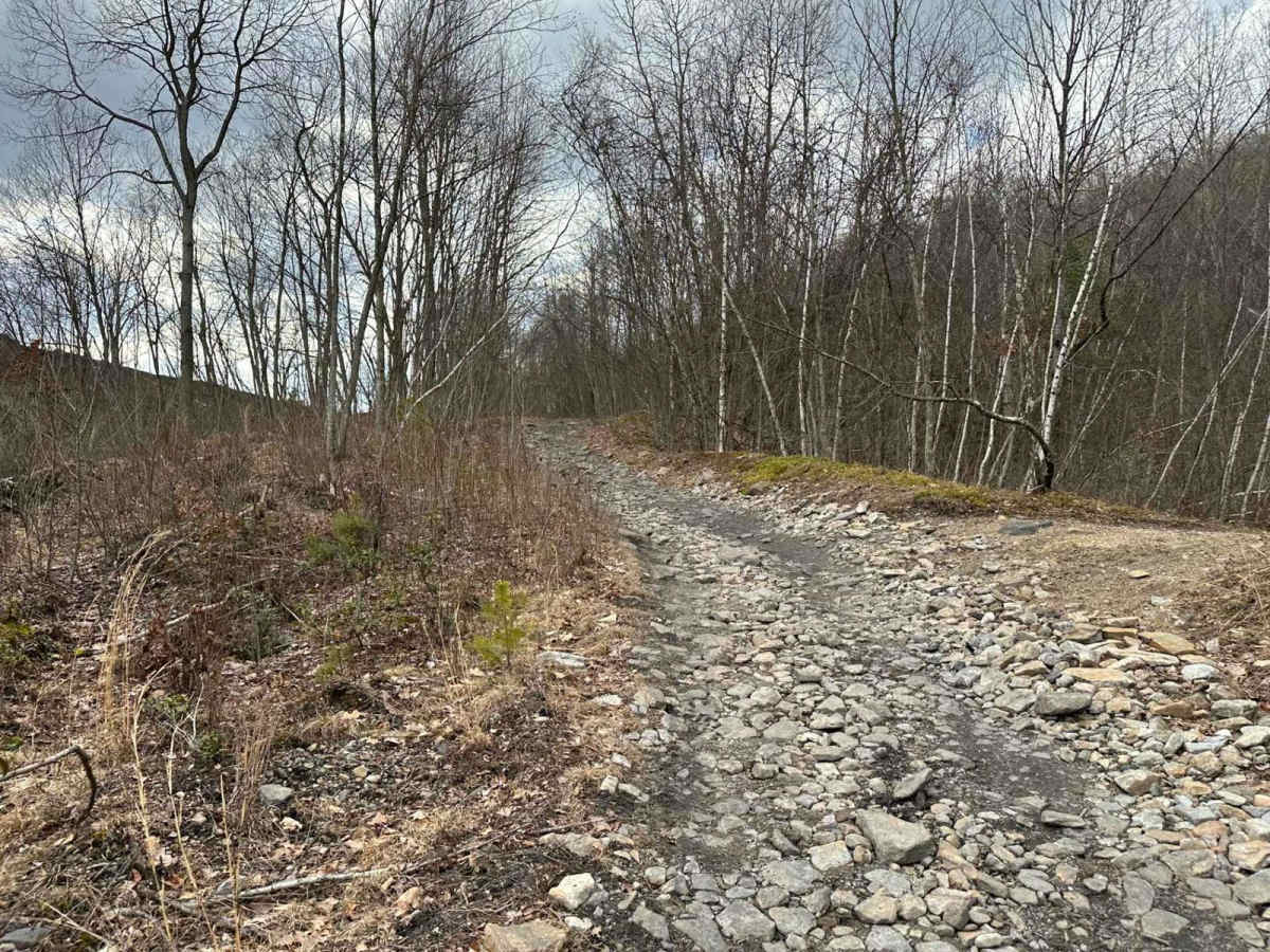 Ashland 44 trail photo