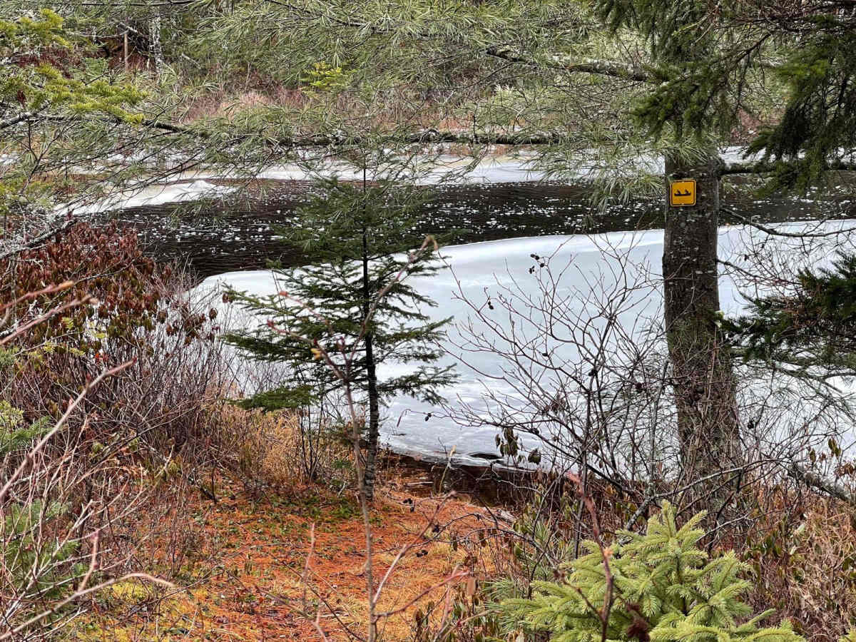 Two Mile Lake Road photo 6