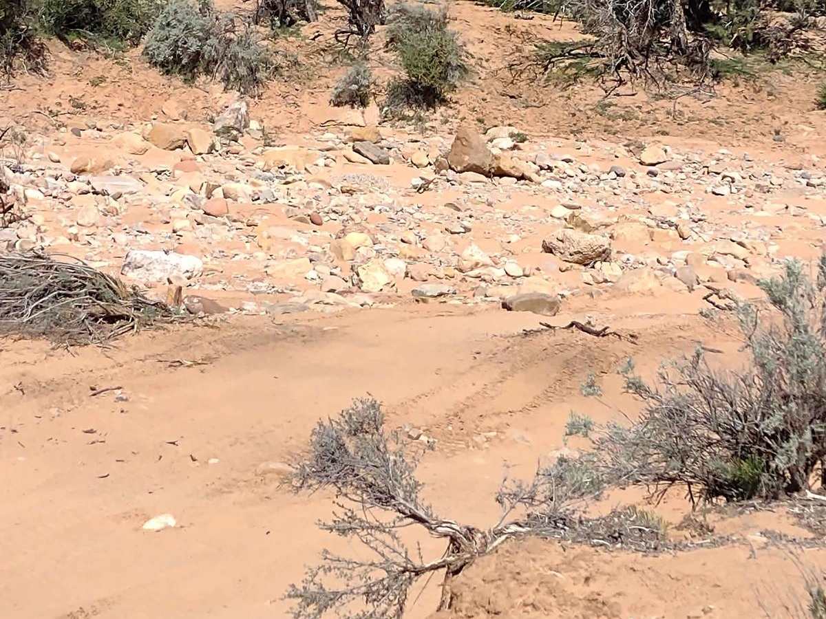 Red Canyon 2.5 photo 5