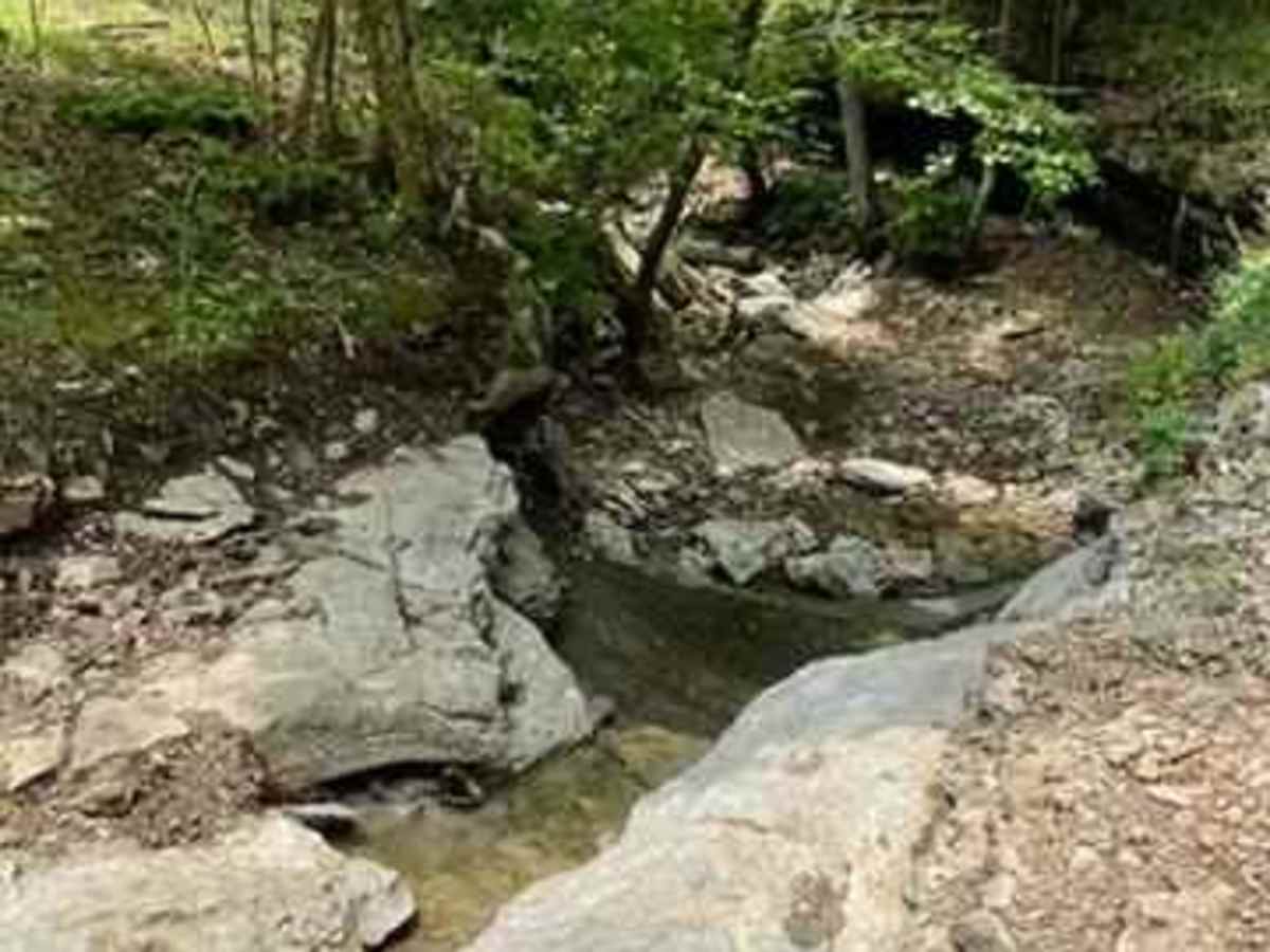 Jana's Trail trail photo