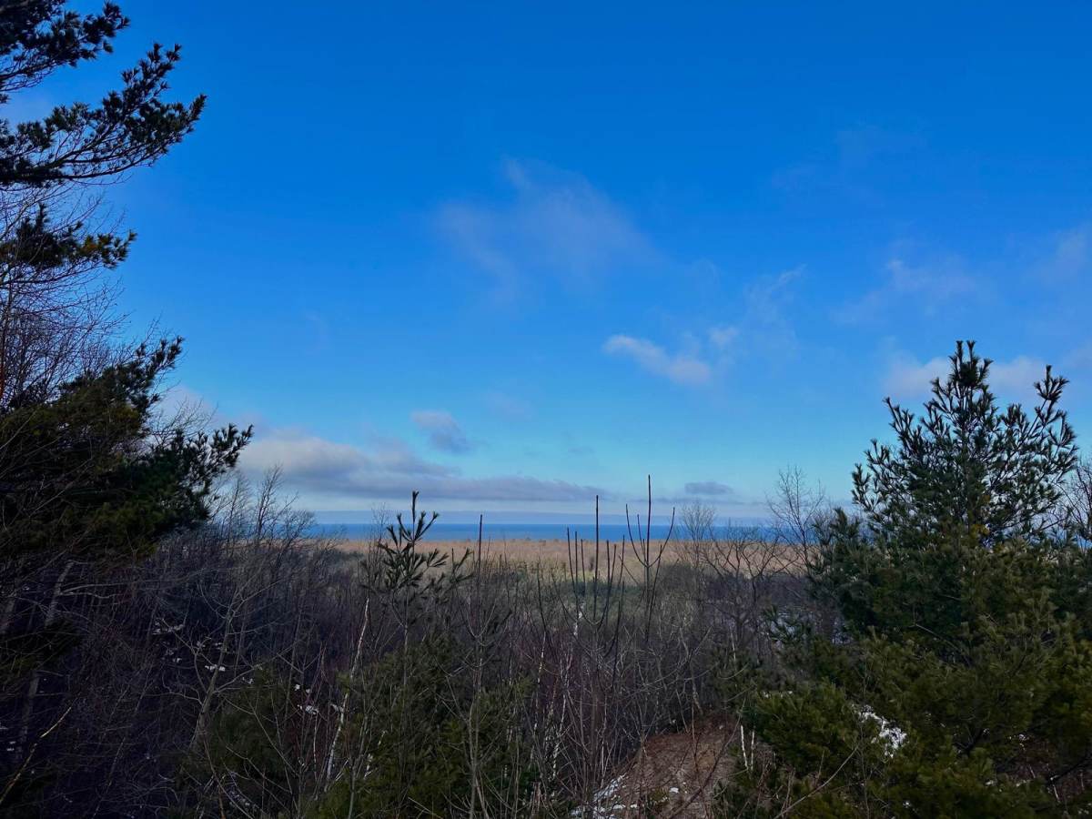 South Basch Road trail photo