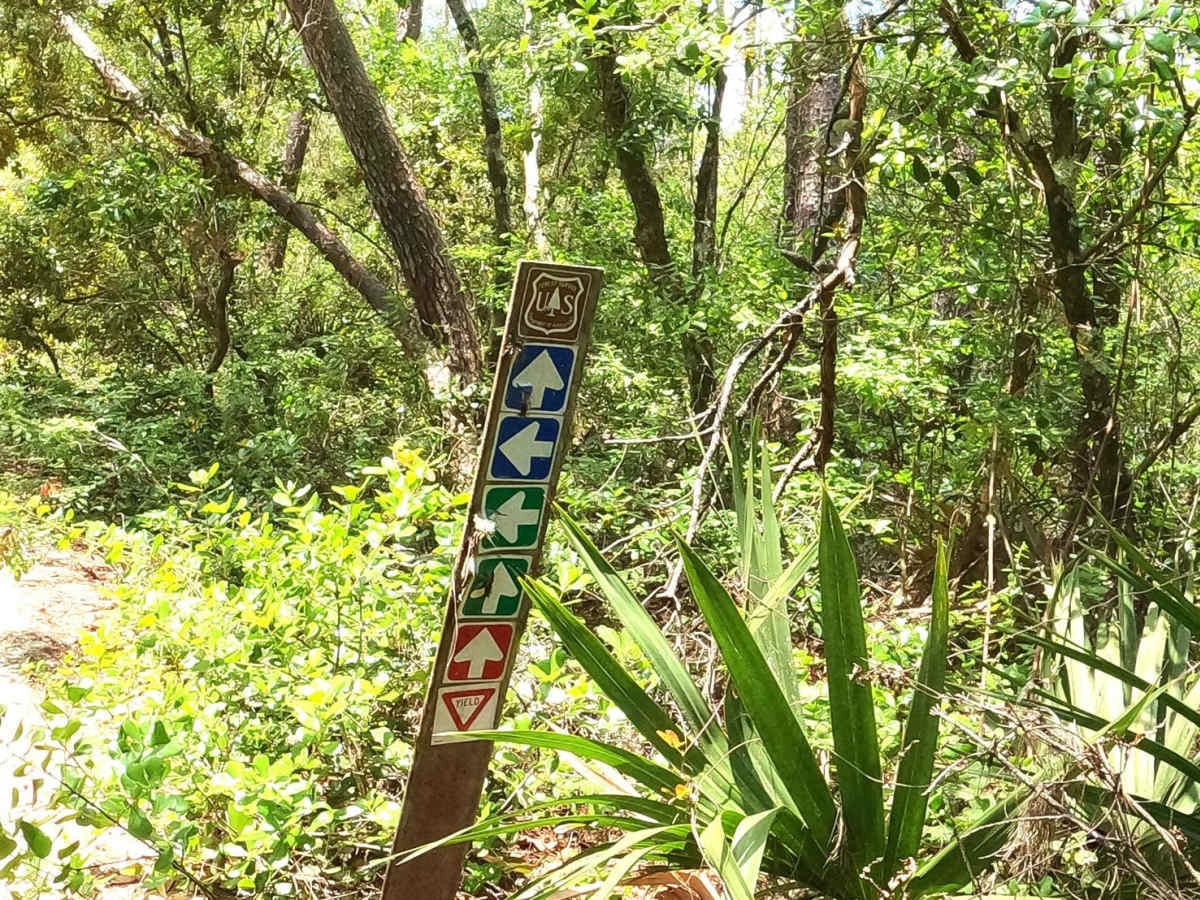 Hog Valley Trail photo 6