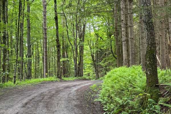 Behrmann Hill Road