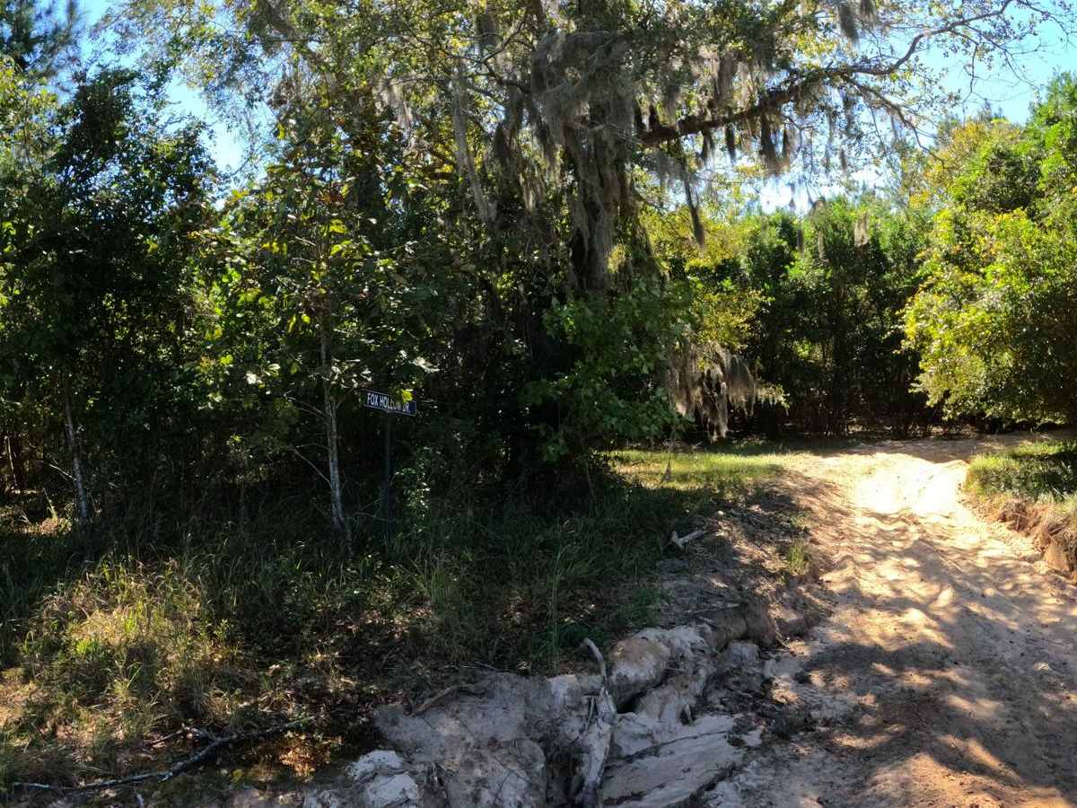 Fox Hollow trail photo