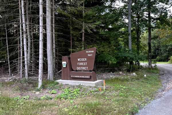 White Oak Ramble